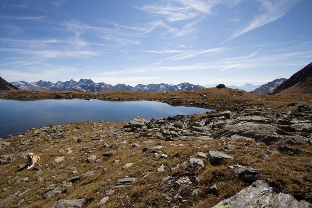 Alpengasthof Zollwirt Sankt Jakob in Defereggen Exterior photo
